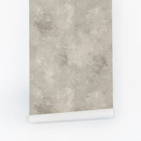 Dark Neutral Venetian Plaster Removable Wallpaper