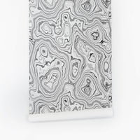 classic monochrome malachite agate print wallpaper