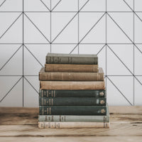 simple geometric lines print wallpaper for library interior