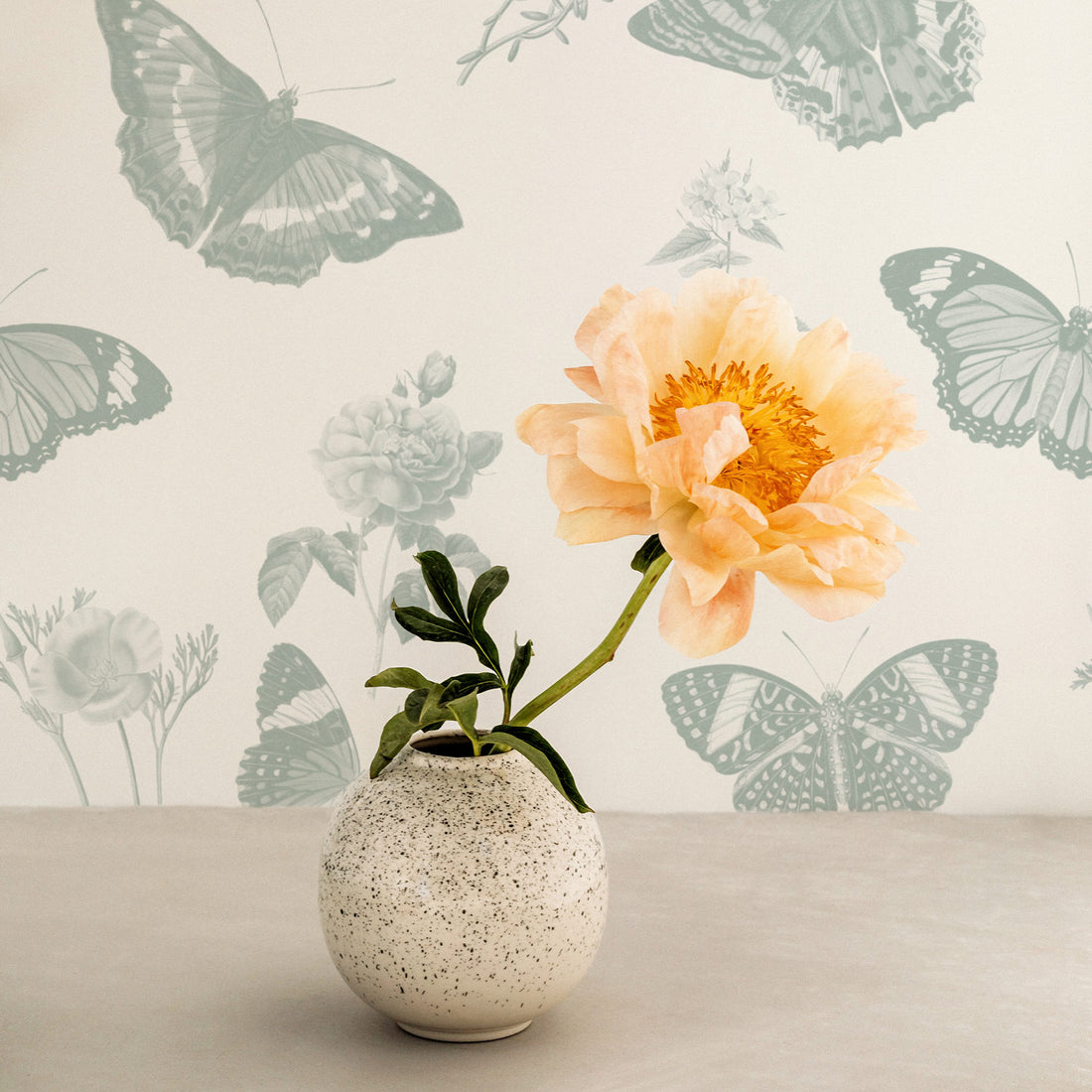 Vintage butterflies design wallpaper in sage green color for kids room interiors