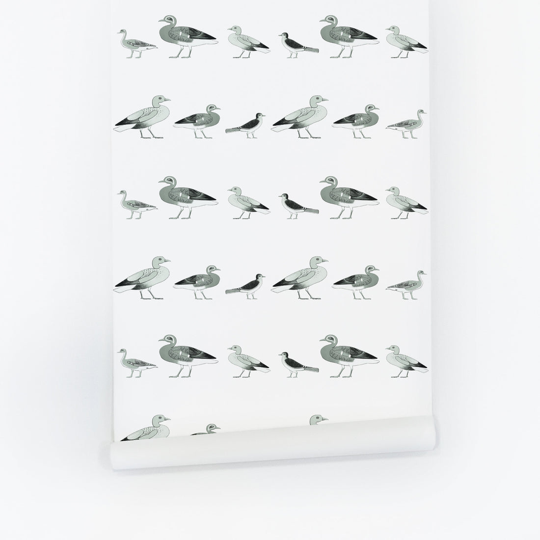 Duck design removable wallpaper for kids room interiors