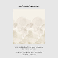 Limewash Paint Texture Removable Wall Mural