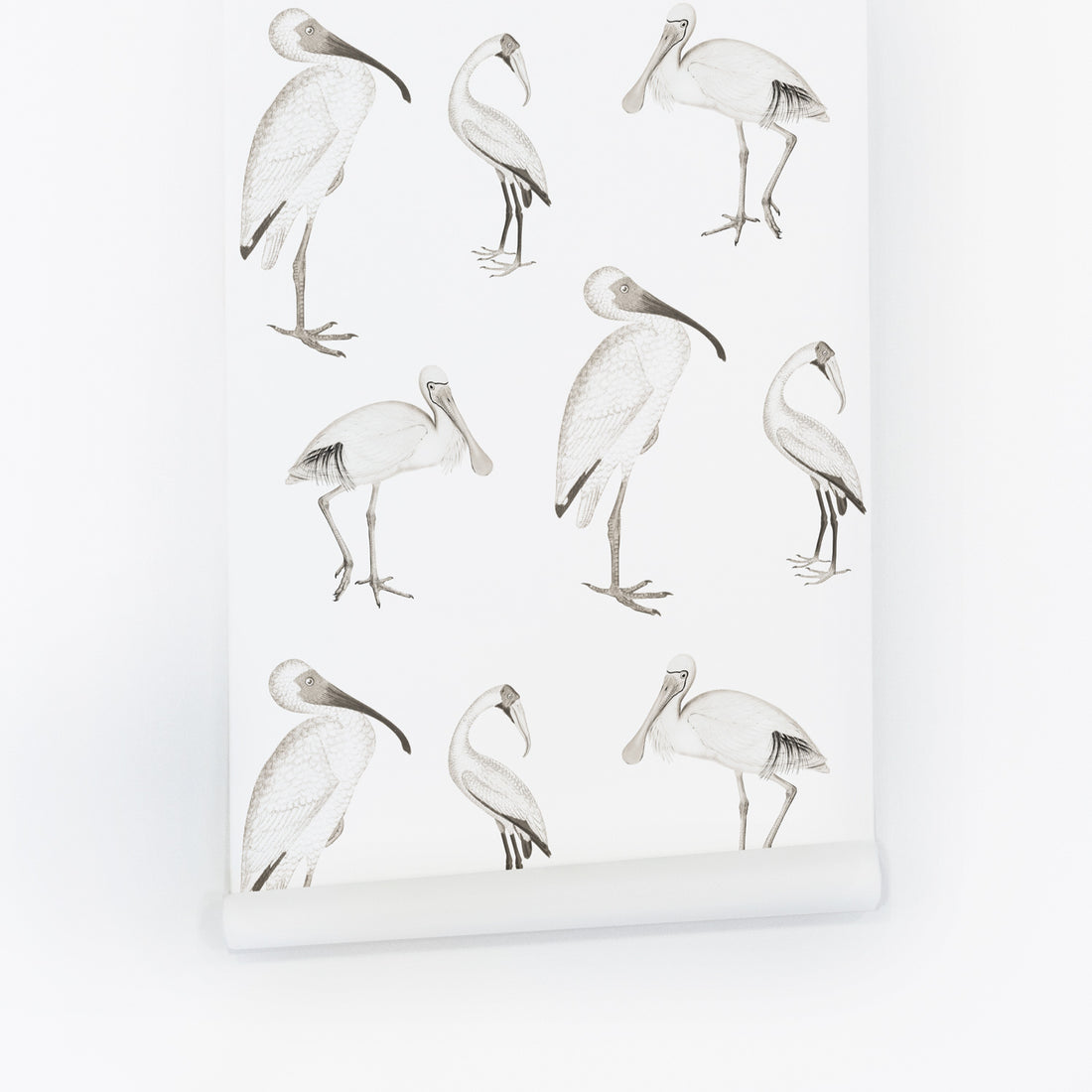 Minimal vintage birds removable wallpaper for kids interiors