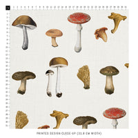 colorful mushroom print fabric