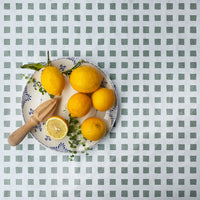 plaid fabric tablecloth in green