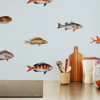 kitchen backsplash wallpaper with tiny rainbow fish