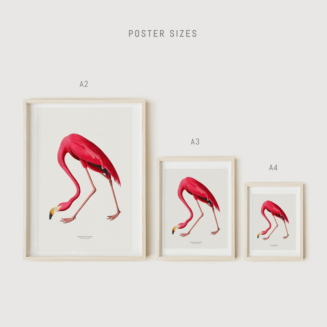 Livettes Wallpaper poster european sizes
