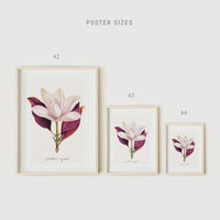 Livettes Wallpaper poster european sizes