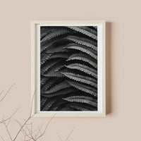 Fern Leaf Photography Poster Print