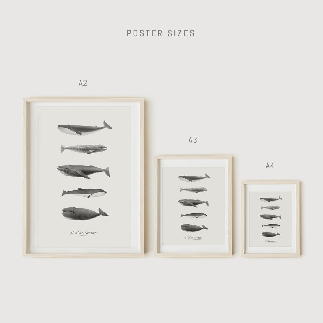 Livettes Wallpaper poster european sizes