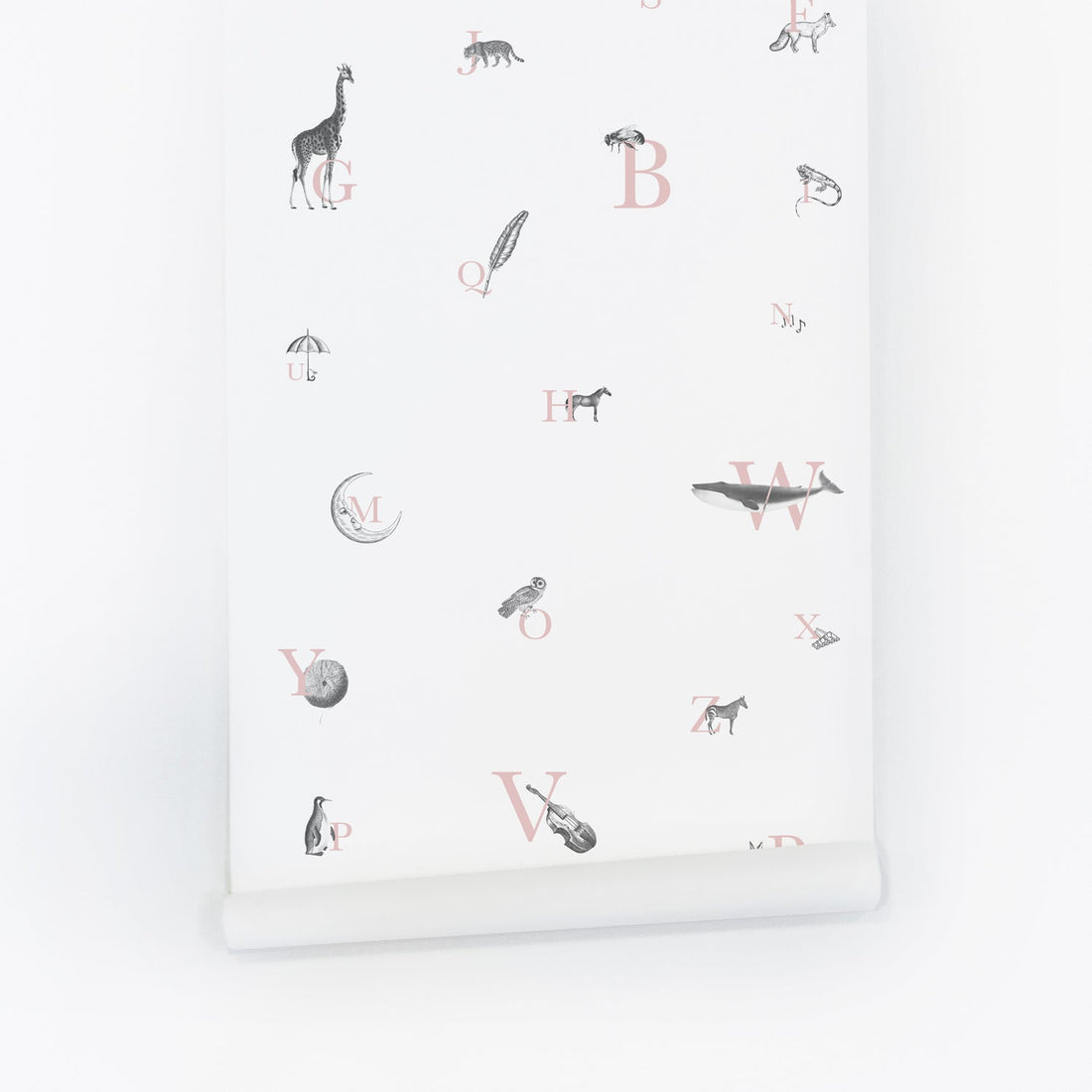 educational wallpaper for kids bedroom interior