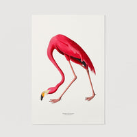 Pink Flamingo print wall art