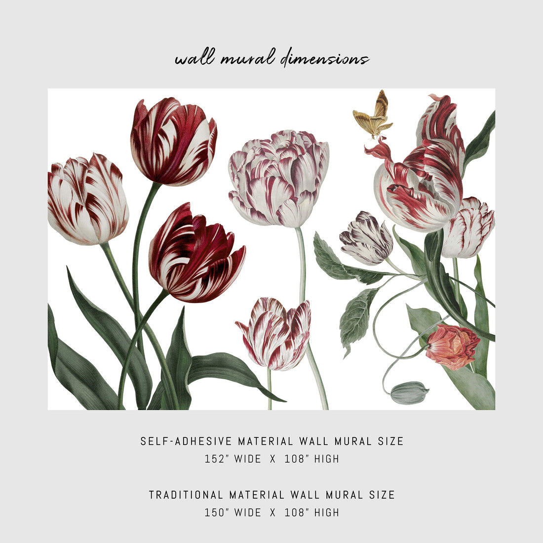 bright red dutch tulip inspired wall mural design